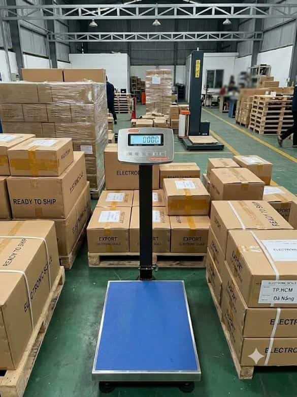 Cân điện tử bdc-8005 200kg