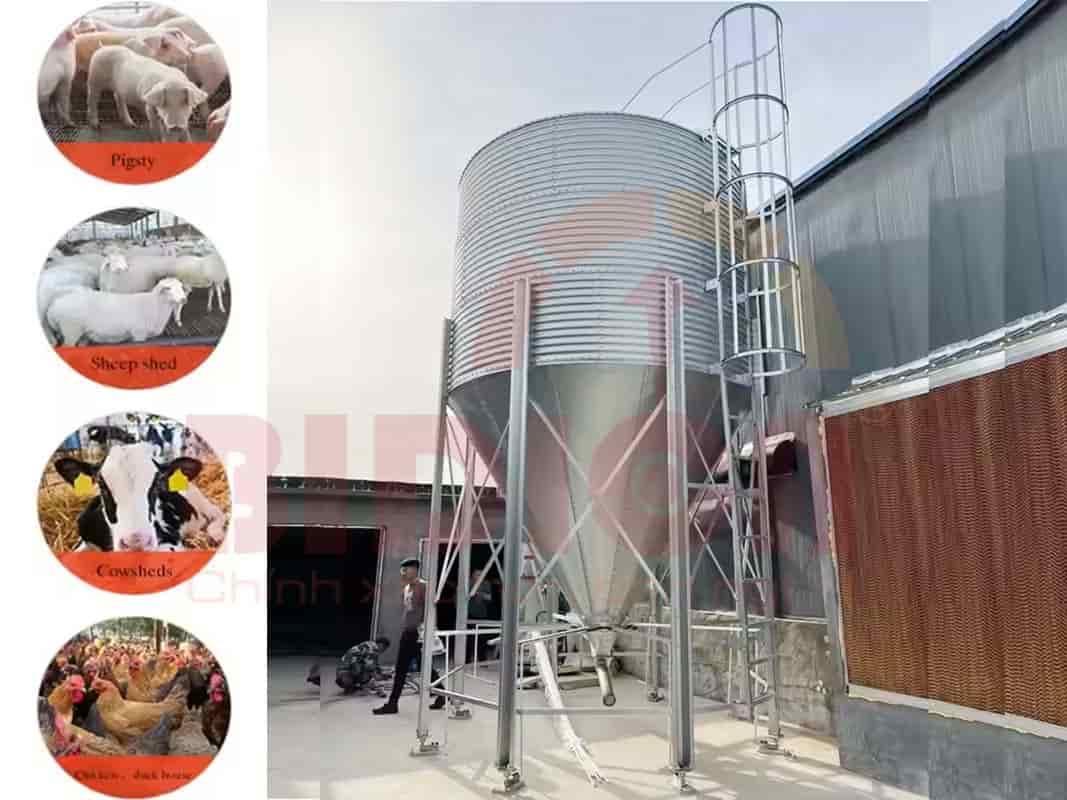 Cân Bồn Silo Chứa Cám Công Nghiệp